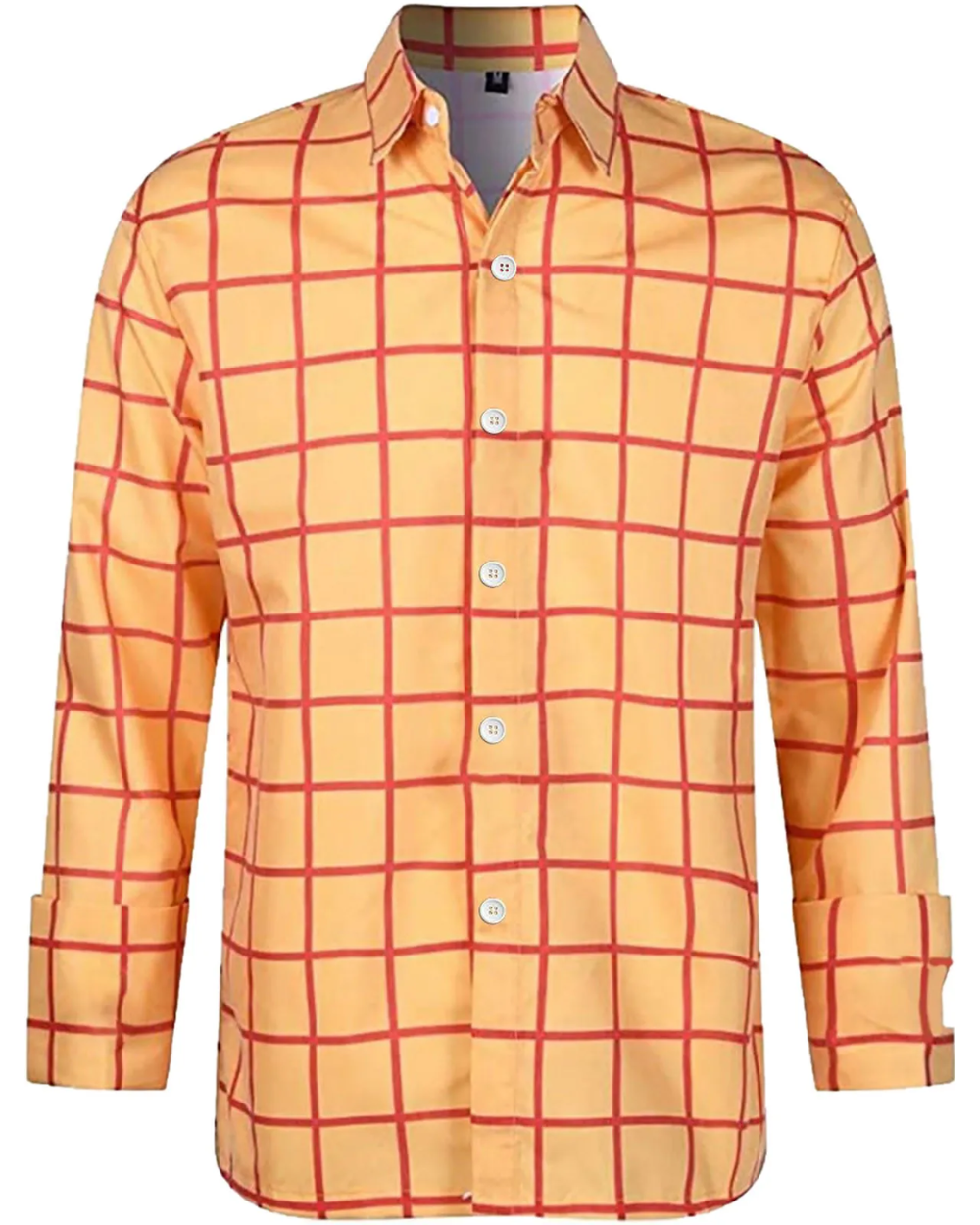 Camicia classica a quadri