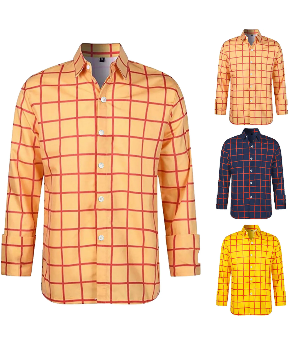 Camicia classica a quadri