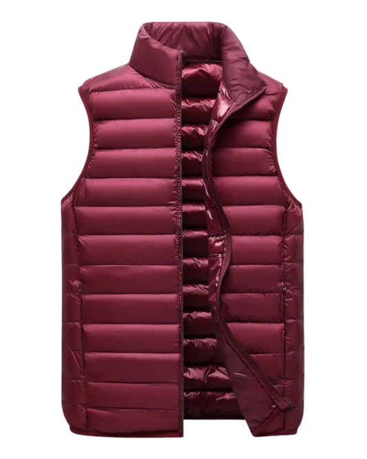 Gilet da uomo elegante